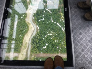 Glass bottom gondola