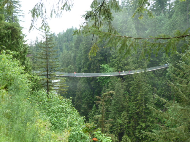 Capilano Suspension Bridge Capilano Suspension Bridge