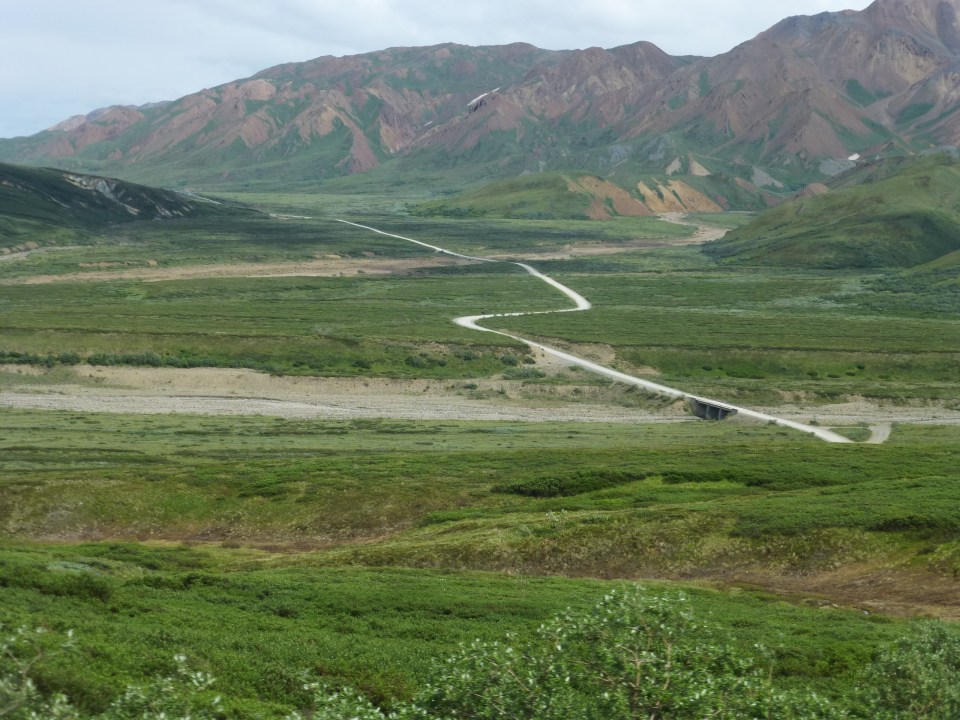 Inside Denali National Park