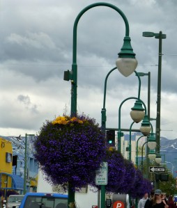 Hanging Baskets on streets