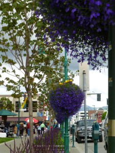 More hanging baskets