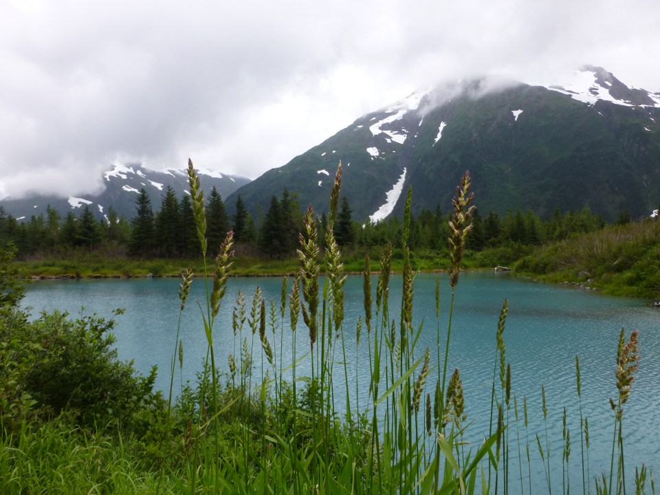 Views on the Trail of Blue Ice