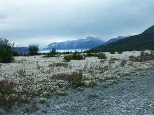 Knik Glacier, Palmer