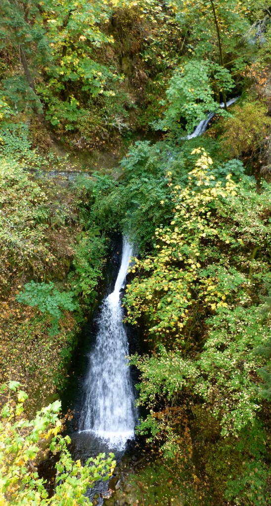  Sheppards Dell Falls