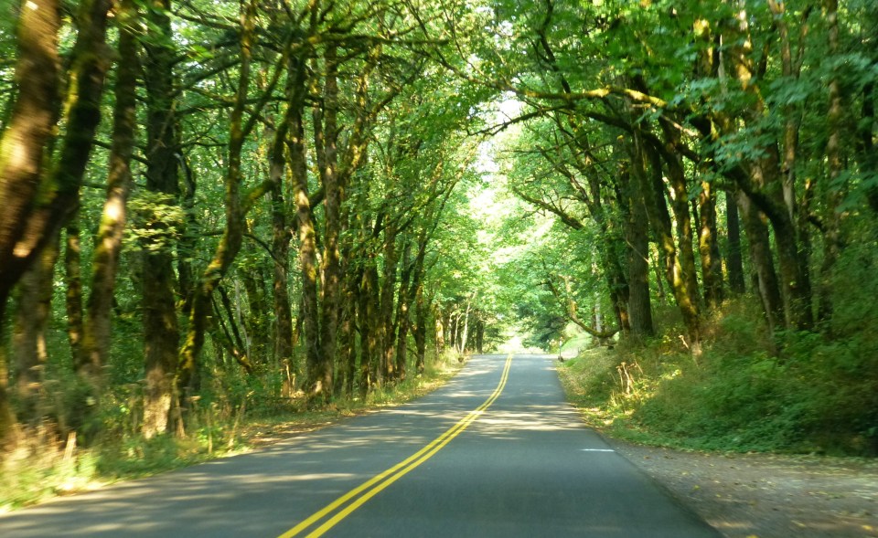 Highway Columbia River Highway