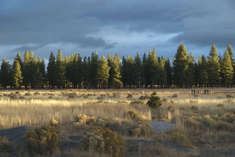 Eagles Nest RV park
