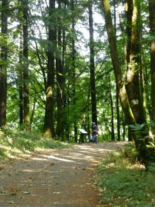 Historic Columbia River State Trail