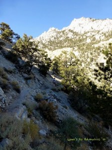 Upper Canyon Mt Whitmey