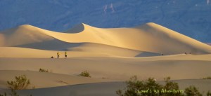 Mesquite Sand Dunes