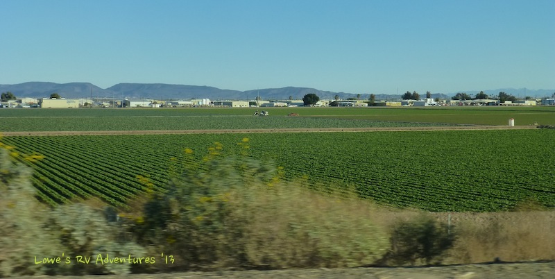 Yuma