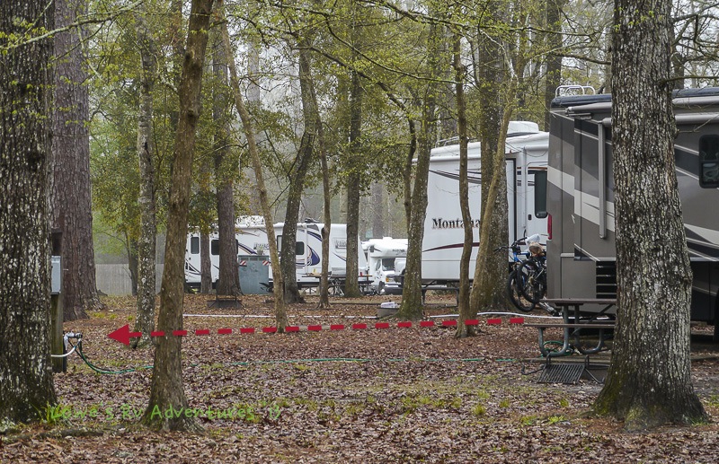 Sam Houston Jones State Park