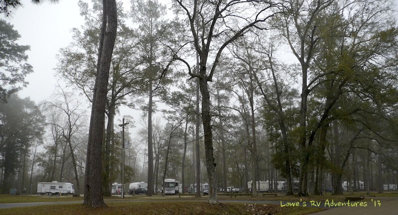 Sam Houston Jones State Park