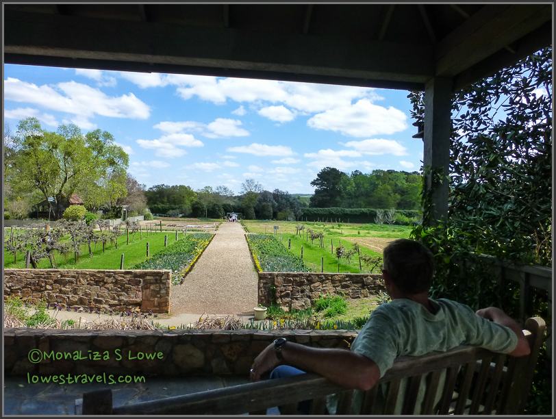 Mr Cason's Vegetable Garden