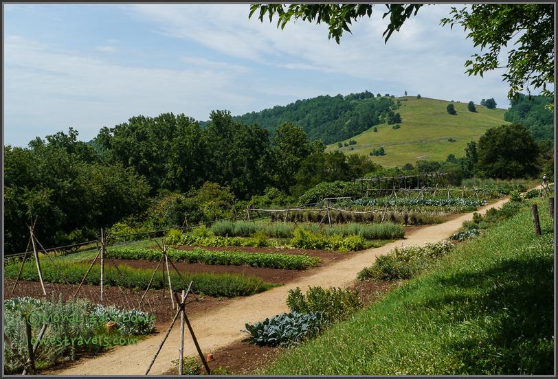 Thomas Jefferson's Vegetable Garden