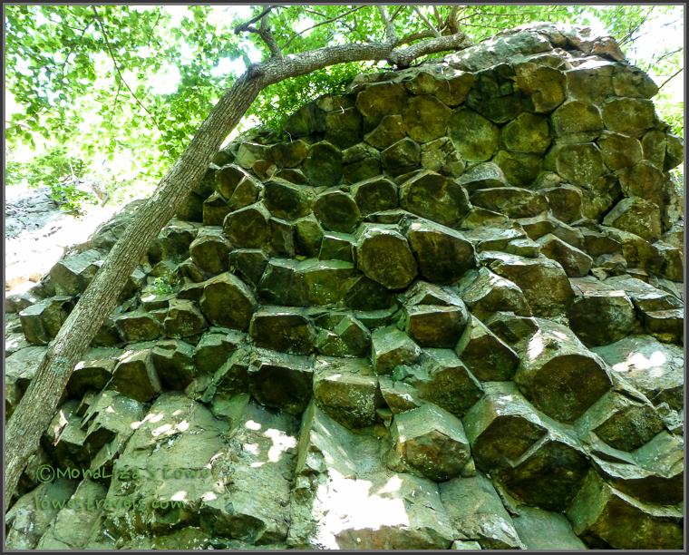 Columnar Joints at Compton Mountain