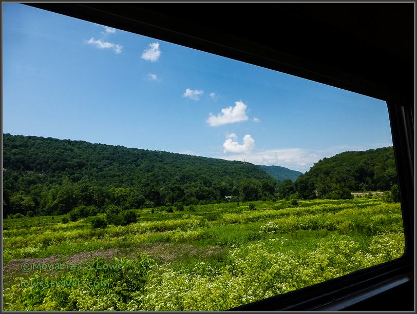 Mountain Greenery, Potomac Eagle