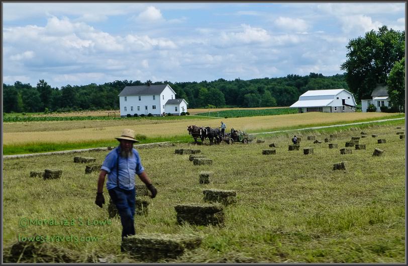 Amish Farm