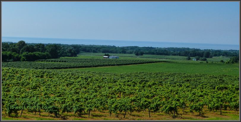Noble Winery