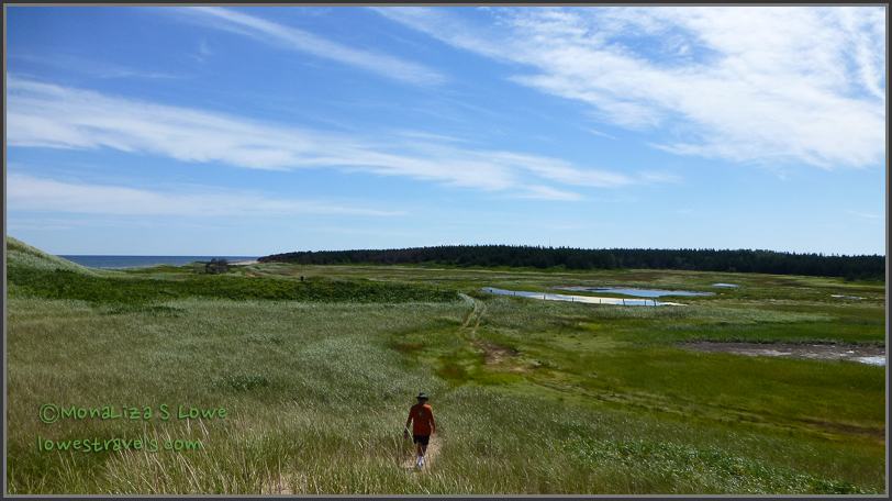 Wetland Cavendish Beach