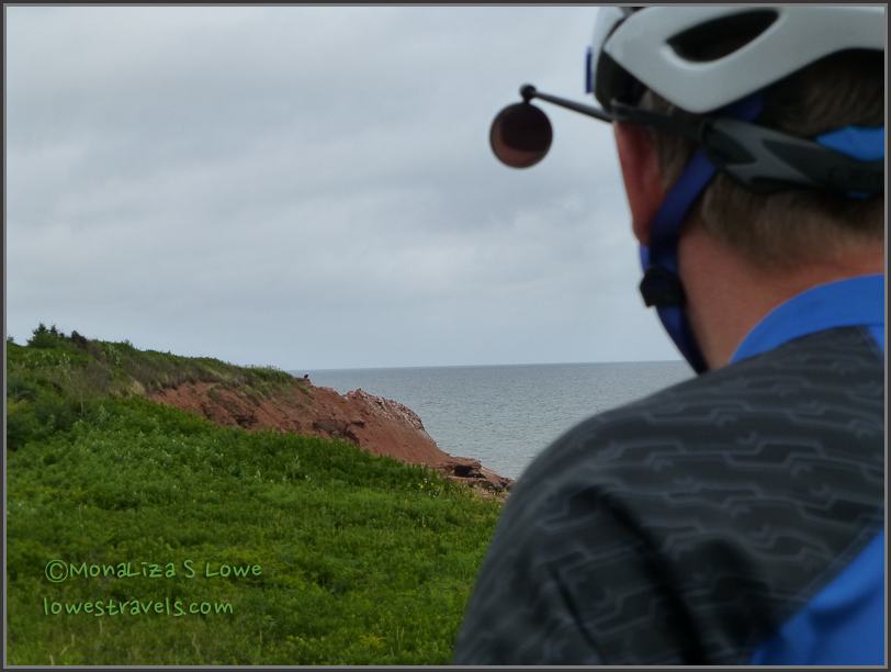 Is that a bird? PEI Coastline