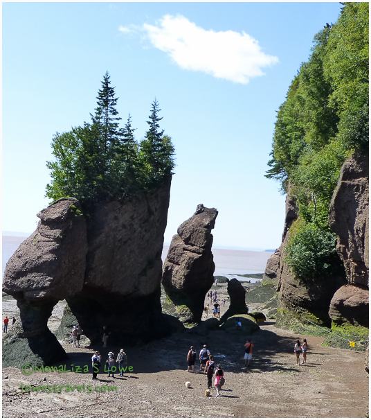 Flower Pots, Hopewell Rocks