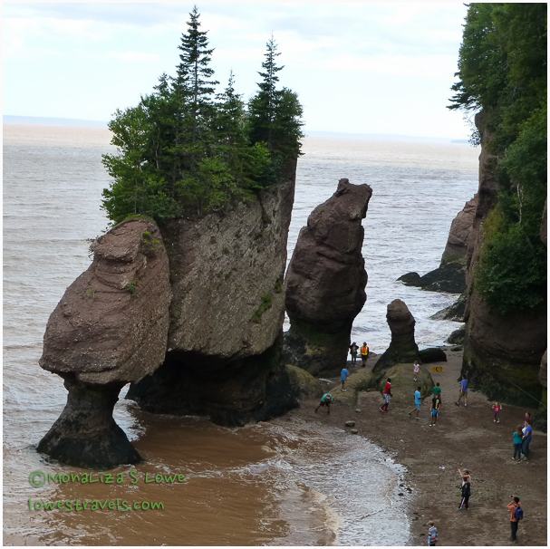 Mid Tide at Hopewell Rocks