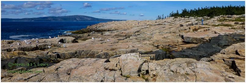 Schoodic Point