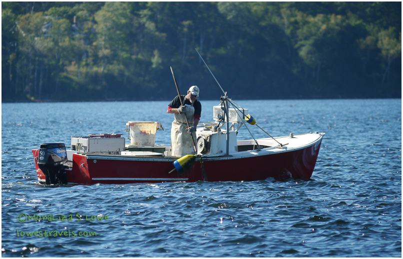 Lobsterman at work