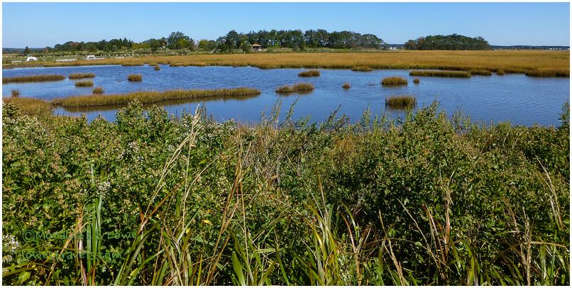 Hammonassett Salt Marsh