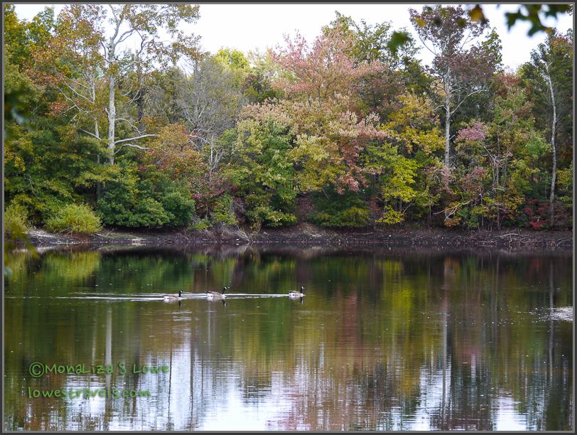 Chestnut Lake