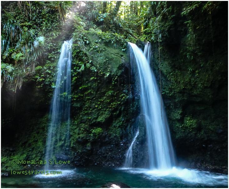 Hibiscus Water Falls