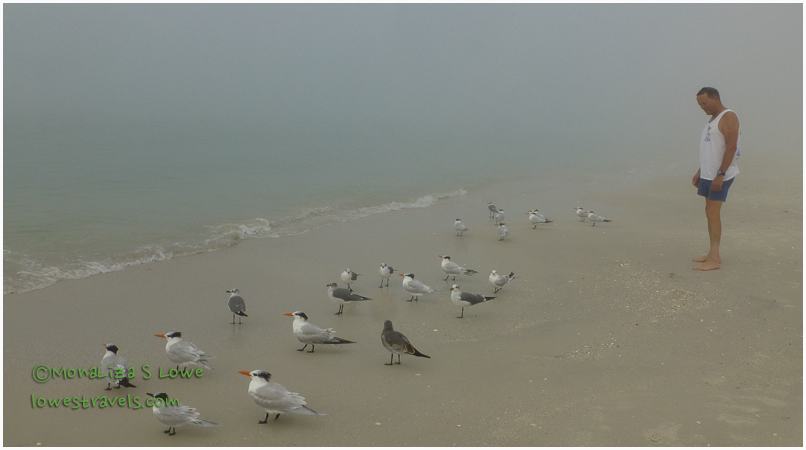 Bonita Beach, Florida