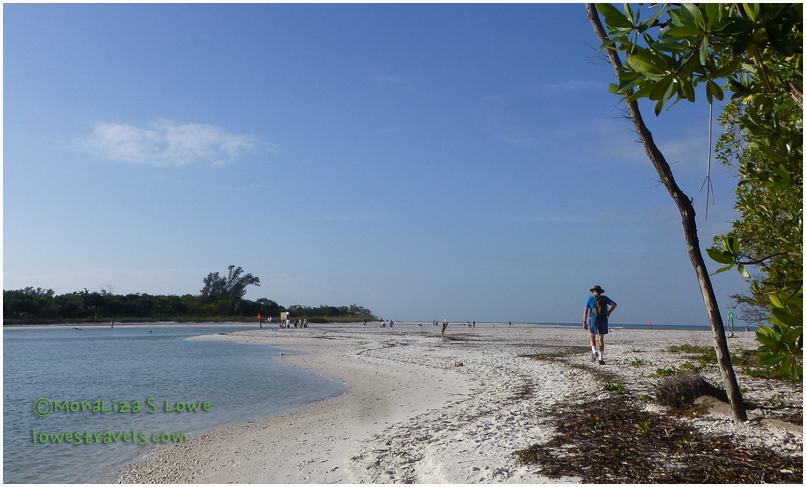 Barefoot Beach Preserve