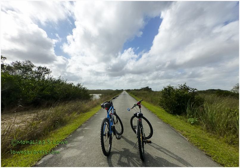 Bicycling at Shark Valley