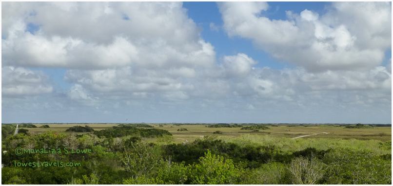 Shark Valley, Everglades