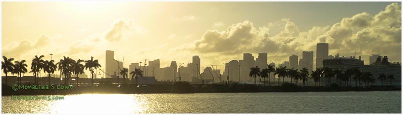 Miami Skyline