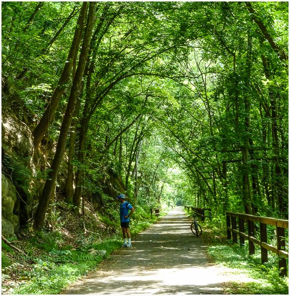 Western Maryland Rail Trail