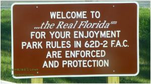 Real florida