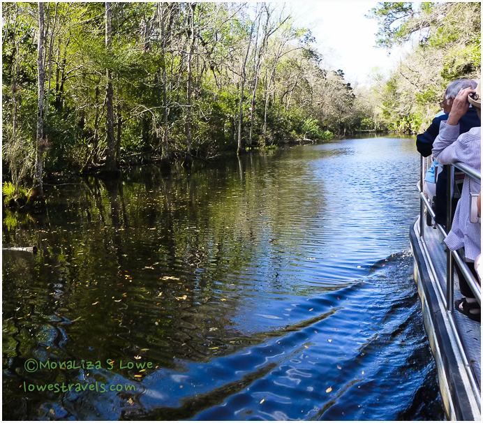 Pepper Creek,Homosassa Springs