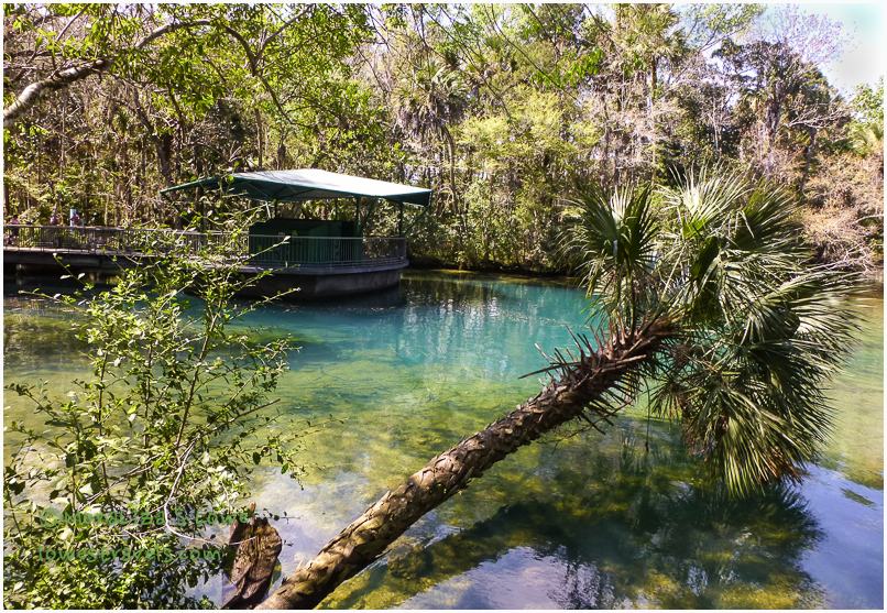 Homossasa Springs