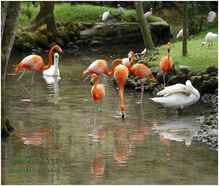 Homosassa Springs Wildlife State Park