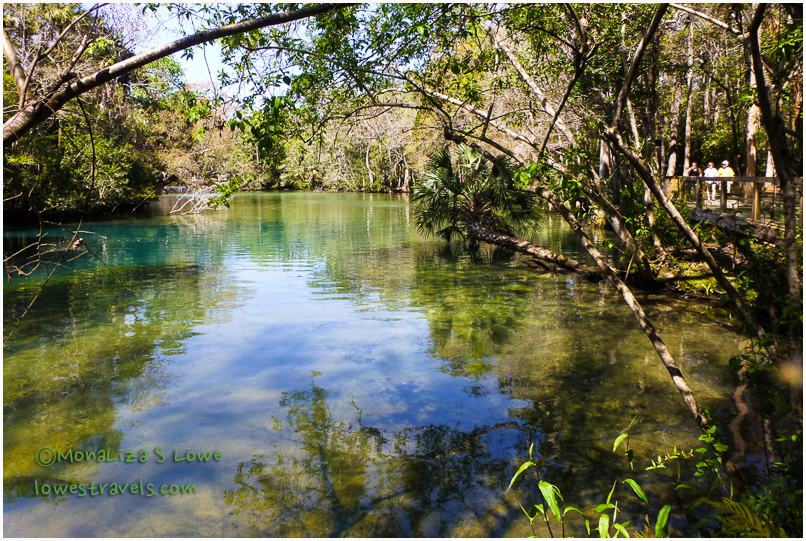 Homosassa River