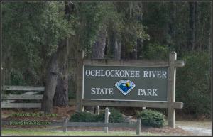 Ochlockonee River State Park