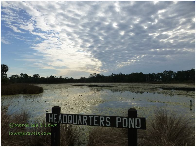 Headquarters Pond, ST Marks NWR