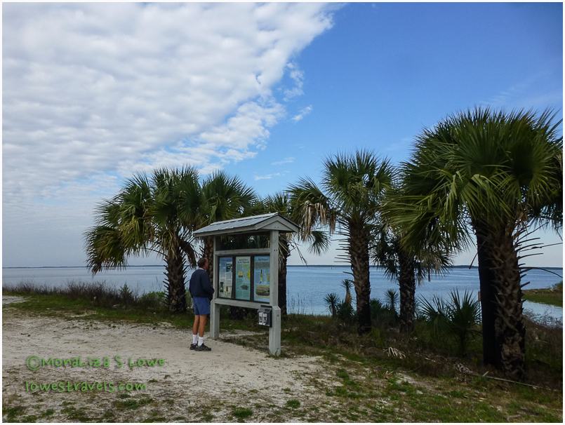 Lighthouse Levee trail, ST Marks NWR