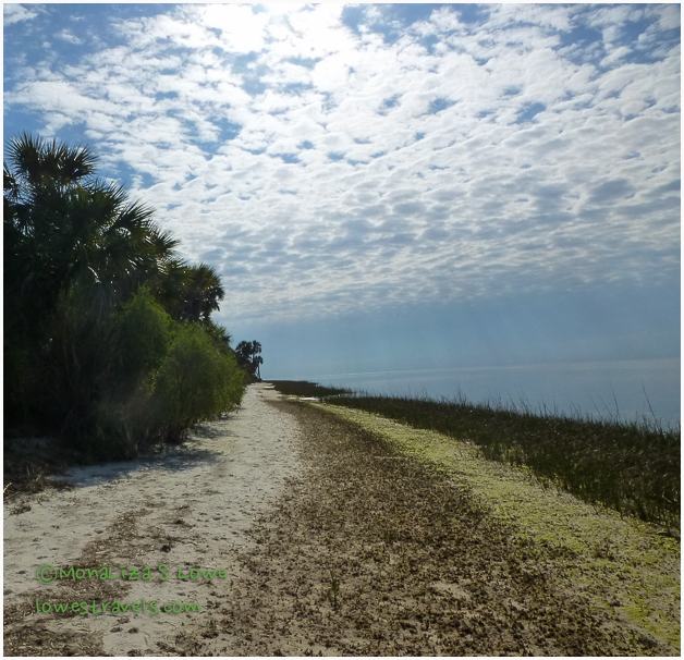 St Marks National Wildlife Refuge