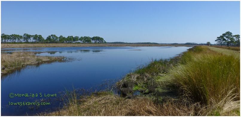 St Marks National Wildlife Refuge