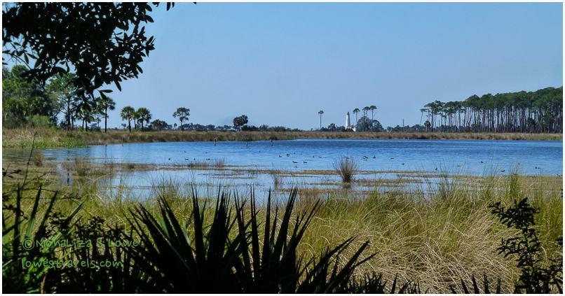 Tower Pond Trail