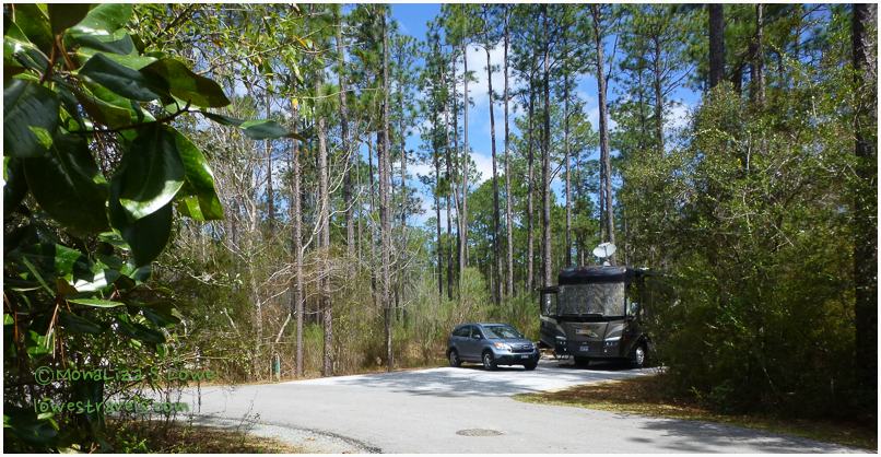 Site 26, Blackwater River State Park