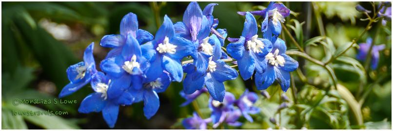 Bellingrath Gardens